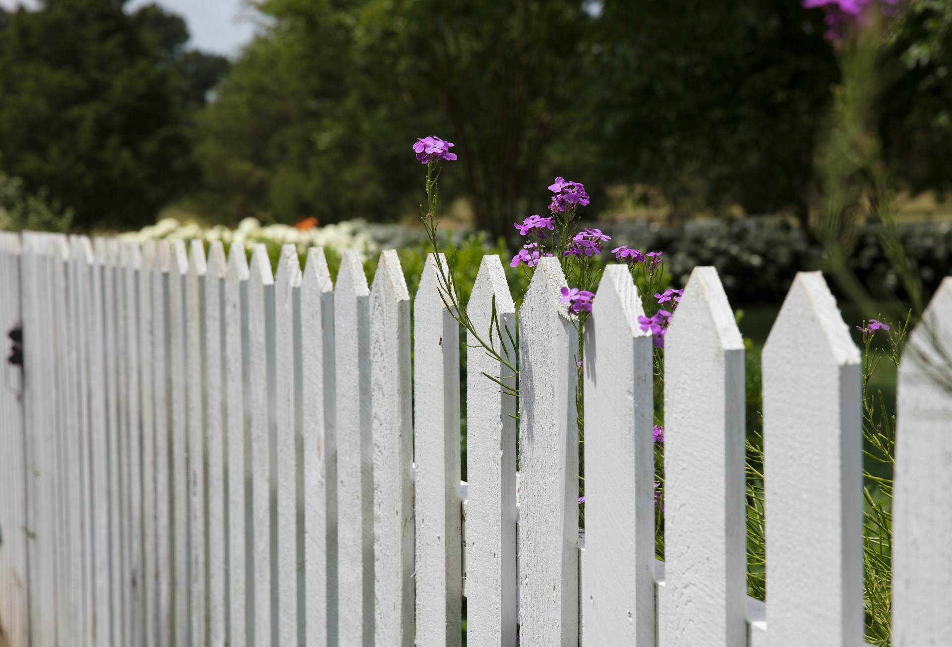 The next Walled Garden will be built in the name of Transparency